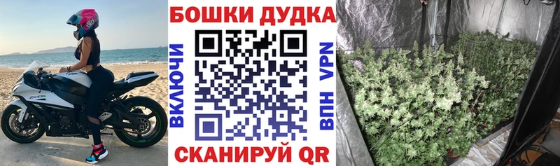 Марихуана Bruce Banner Снежинск